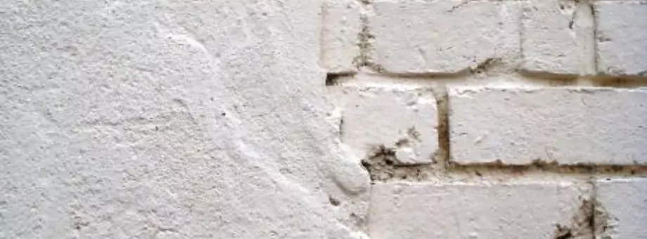 Image illustrant l'article